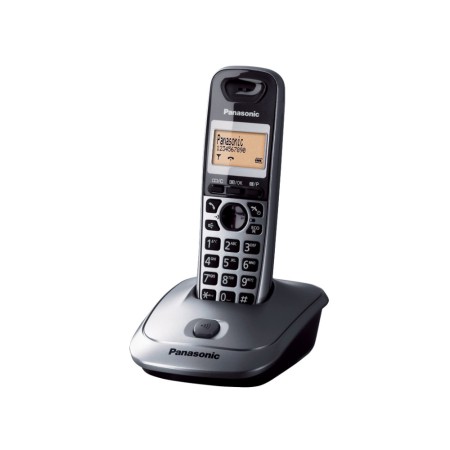 PANASONIC KX-TG2511JTM - TELEFONO CORDLESS DIGITALE - SILVER