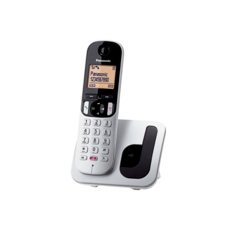 PANASONIC KX-TGC250JTS - TELEFONO CORDLESS FACILITATO SILVER