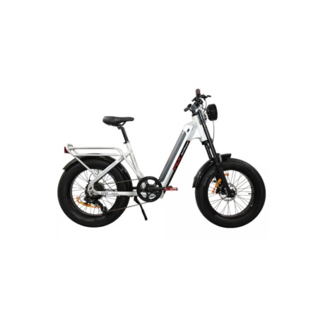 EMG FAT BIKE REBEL MWC 20"X4" 48V/12,5AH RAW ALLUMINO GREZZO