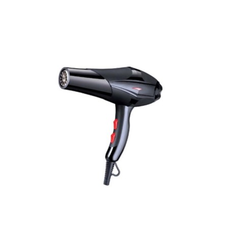 DPM KS2700 ASCIUGACAPELLI MOTORE AC DRY&FINE