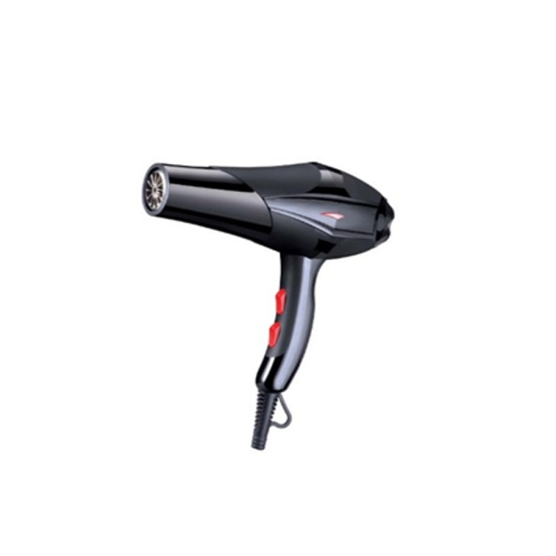 DPM KS2700 ASCIUGACAPELLI MOTORE AC DRY&FINE
