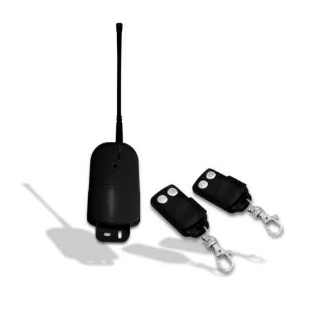 2172 KIT 2 RADIOCOMANDO CON RIC. EST. sost. *2178*