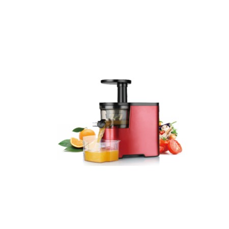 DPM LDC130 ESTRATTORE LENTO - SLOW JUICER